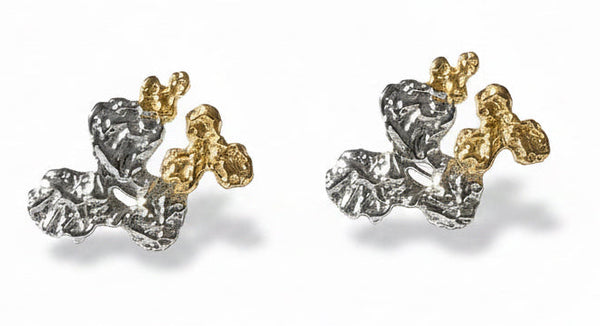 Linea earrings