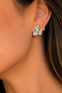 Linea earrings